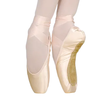 Grishko 2007 Pointe Shoe (Hard Shank)